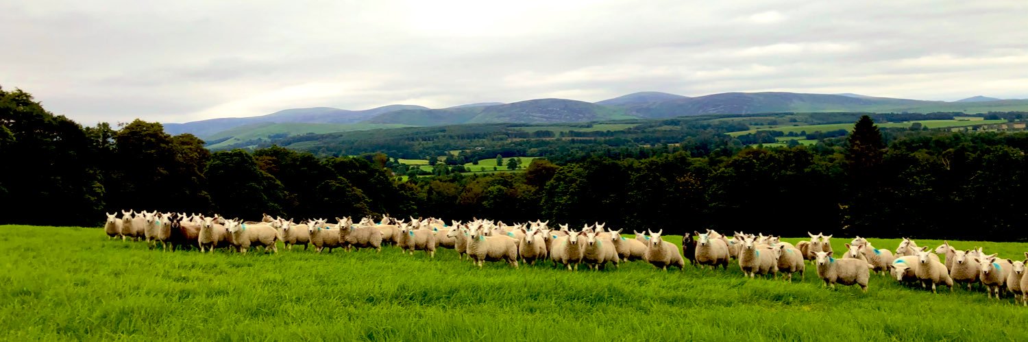 Stuart Graham banner