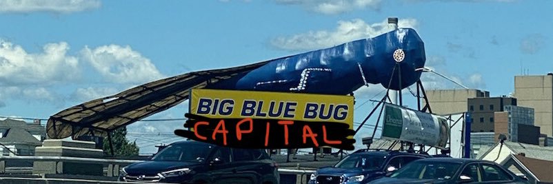 big blue bug capital banner