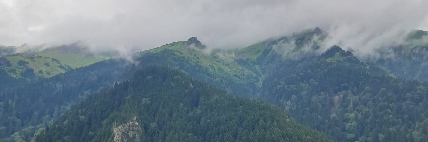 freeneslisah's profile banner image
