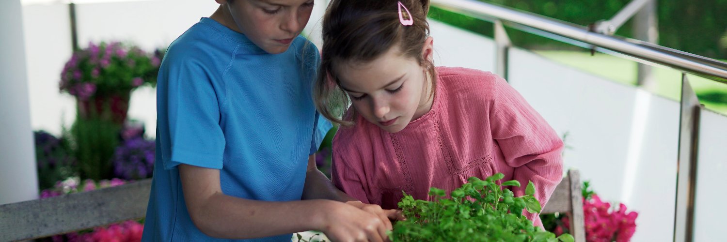 tradgardengames's profile banner image