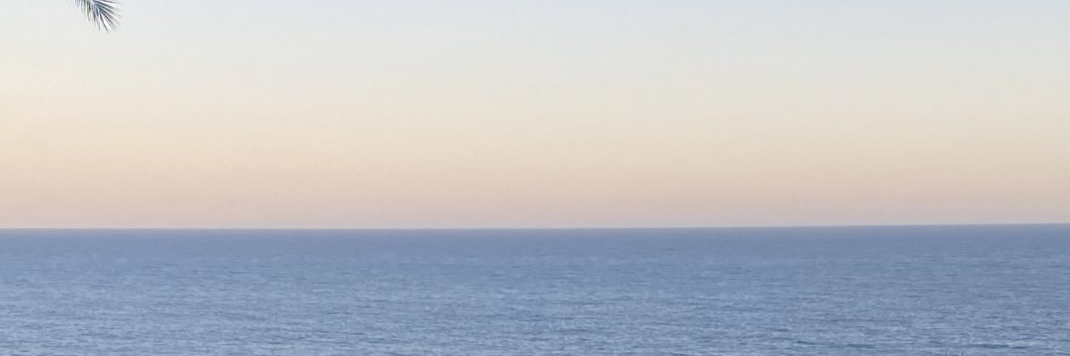 sara banner
