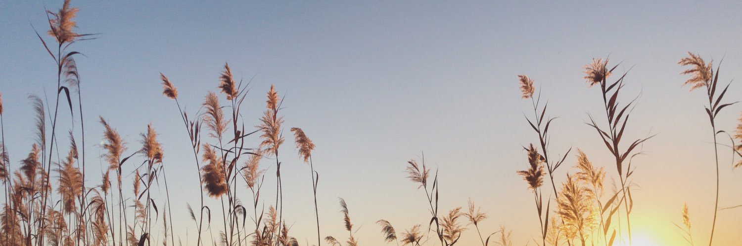 merisnow__'s profile banner image