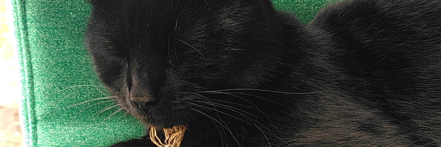 aaclarke4's profile banner image