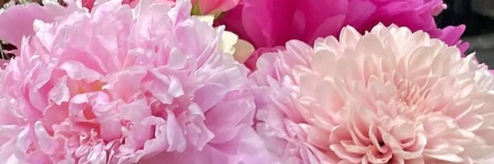 あやさorなお banner