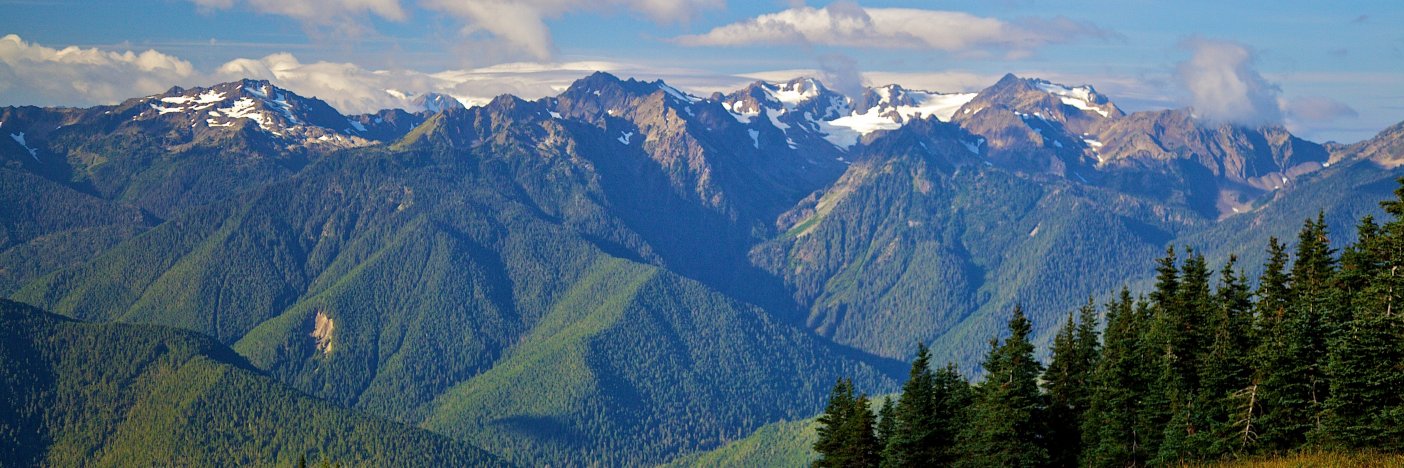 Olympic Peninsula banner