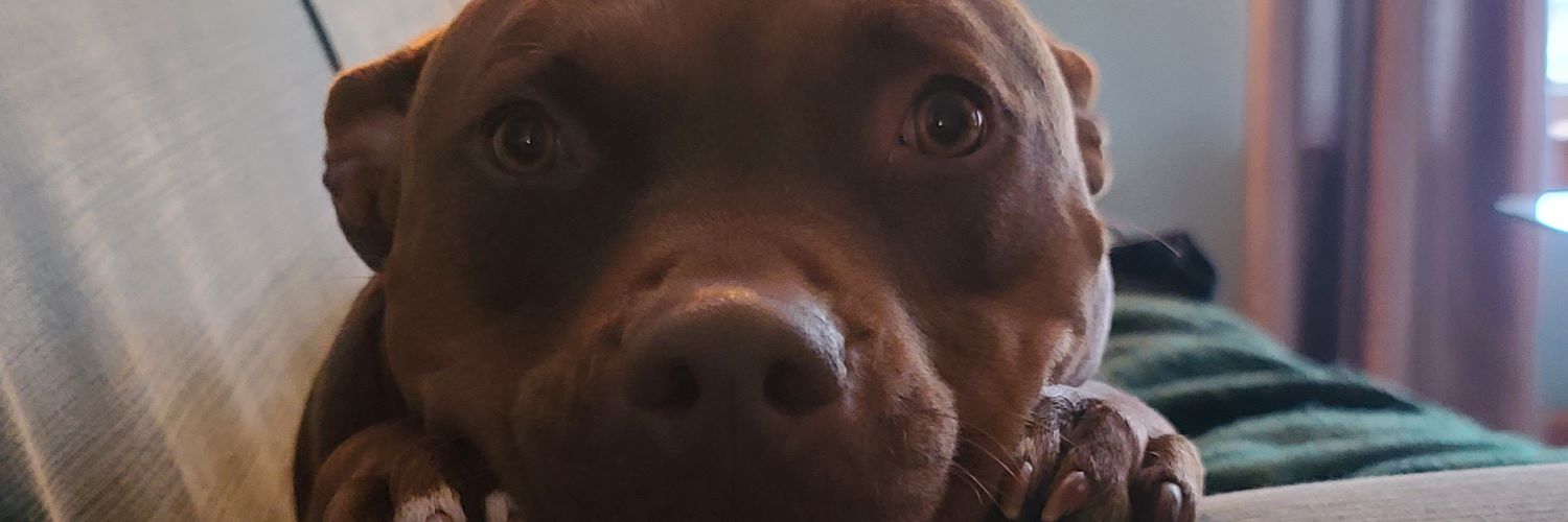 tee__howard's profile banner image