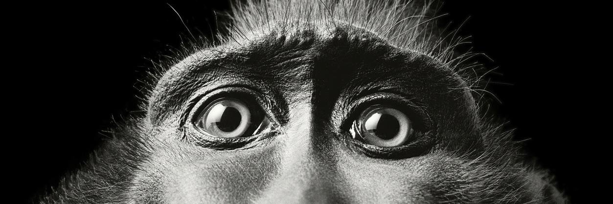 Marion Touchot 🍽🌍🎒 banner