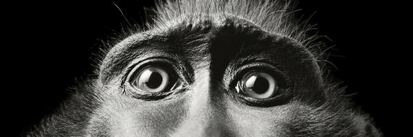 mariontouchot Profile Banner