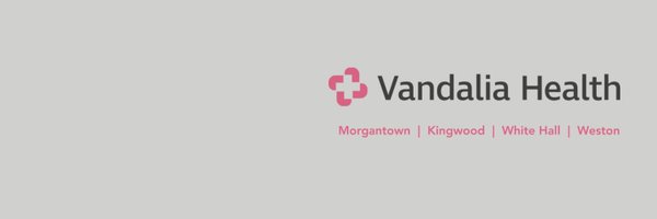 VandaliaMon Profile Banner