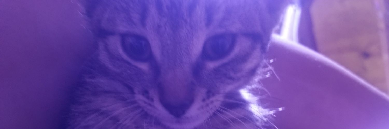 LippeCharlotte's profile banner image