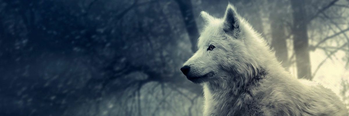 jjesusL2's profile banner image