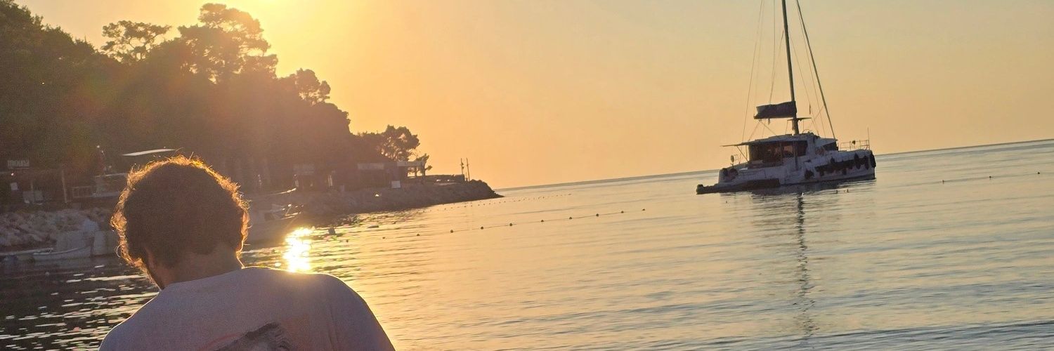zorluer's profile banner image
