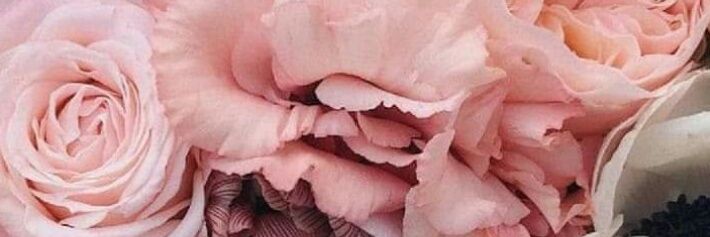 Aliceday09's profile banner image