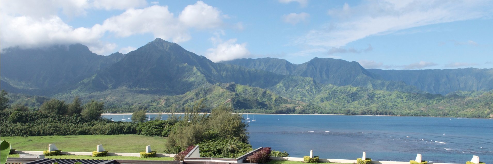 Michael Chetrit banner