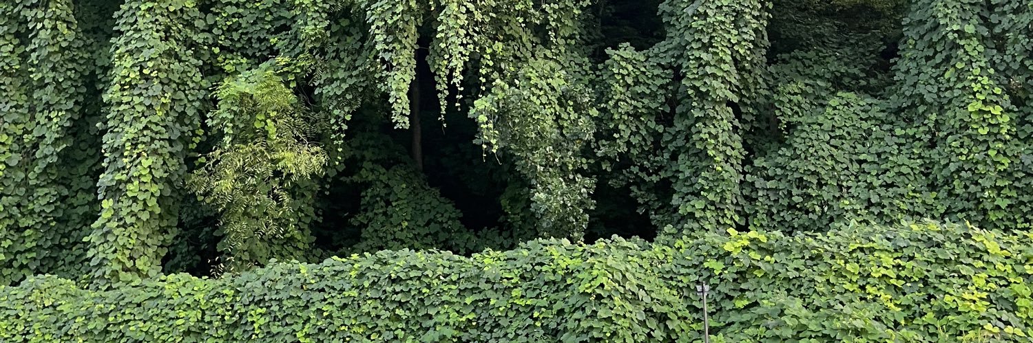 maggiexcc's profile banner image