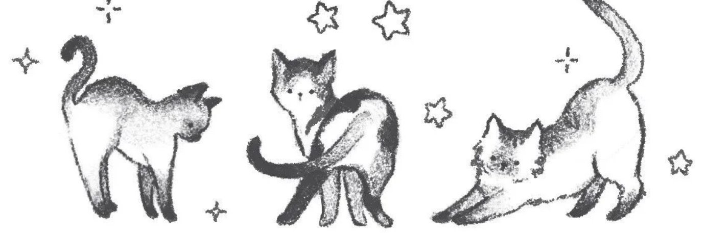 SapphireSnowFox's profile banner image