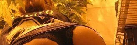 ShoneFR's profile banner image