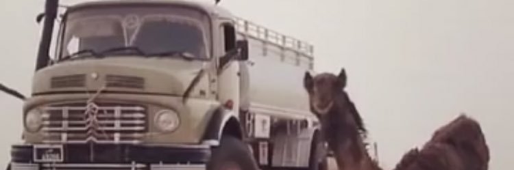 ‏﮼جغمة،جفا، banner