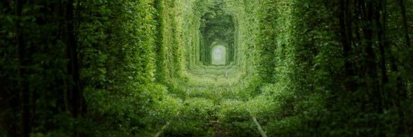 John Sheppard banner