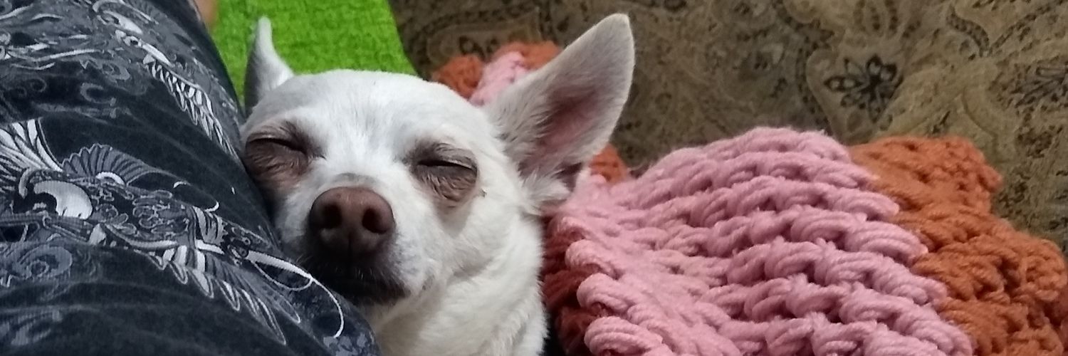 kimberlyml's profile banner image
