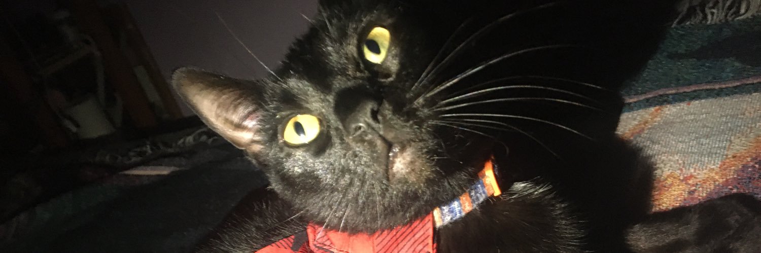 MyFairAssassin's profile banner image