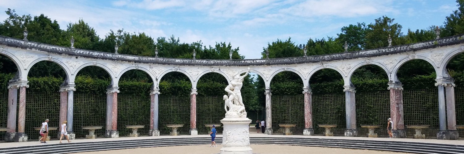 Dr. Iris Wang banner