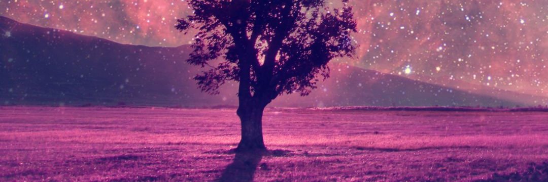 Fox87Rox's profile banner image