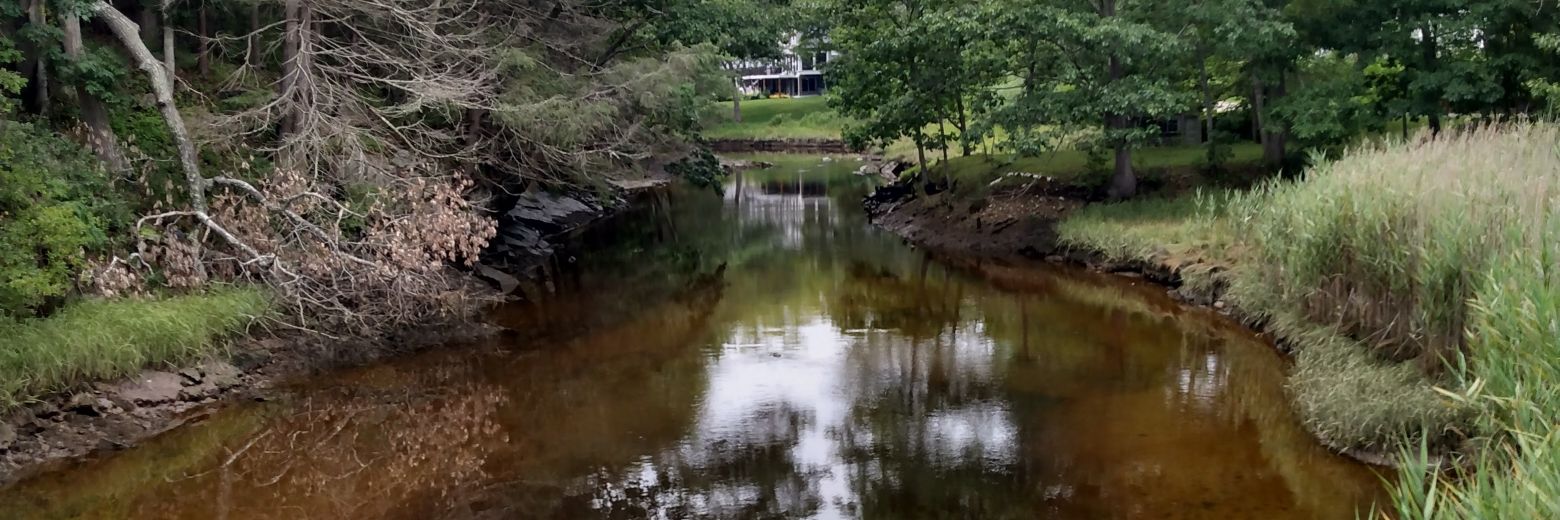 jonathan downey banner