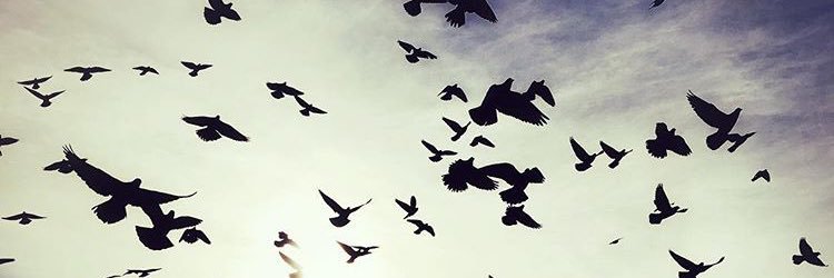 abdullah_amani's profile banner image