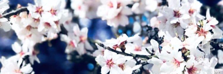 hortn_'s profile banner image