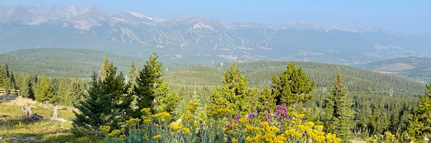 Michael Redmond banner