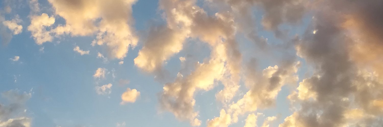 __zushi's profile banner image