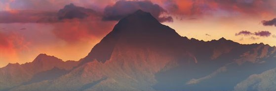 cuteteabee's profile banner image