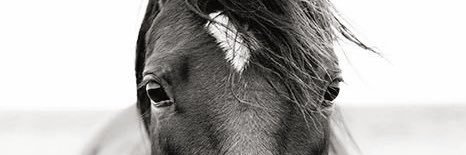 mesfess1u's profile banner image