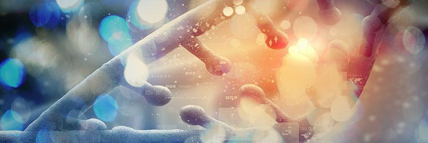 Dr. Sean Breen banner