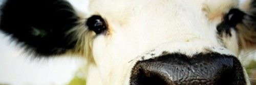 Taylorr_C's profile banner image