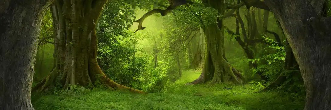 Smack0FF π² banner