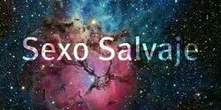 calidozo del west banner