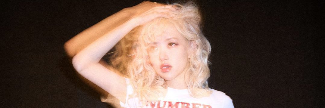 🐣 banner