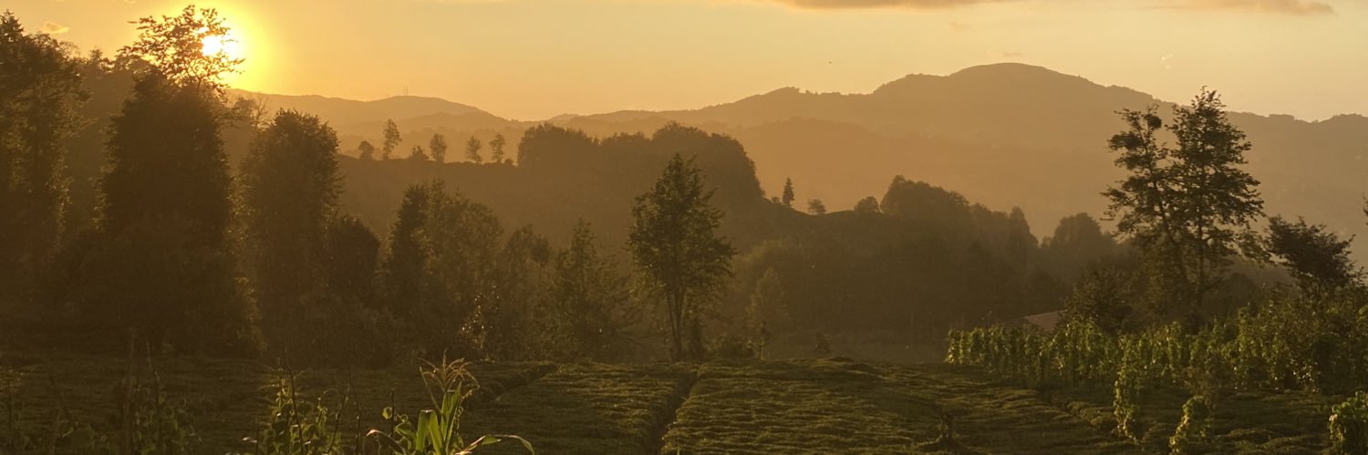 nmkatalay's profile banner image