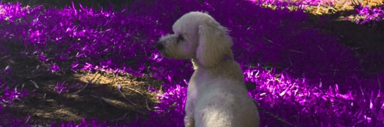 BrendaDiaz01's profile banner image