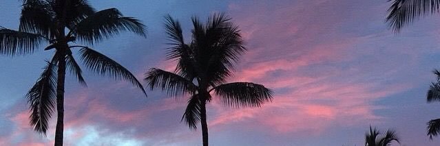jaimebowman_'s profile banner image