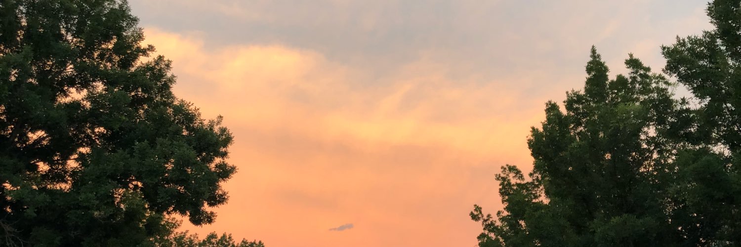 ohhjane's profile banner image