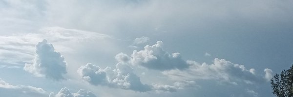 YohNester Profile Banner