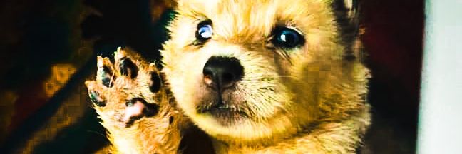HenrymarkAgbasi's profile banner image