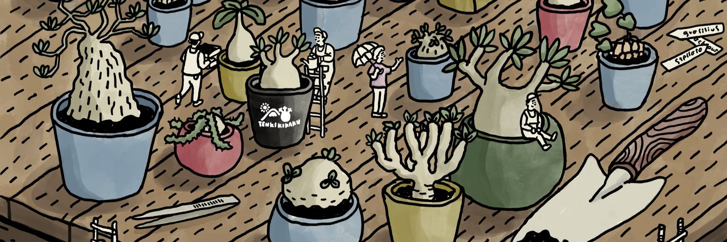 りとまん｜塊根植物のひと banner