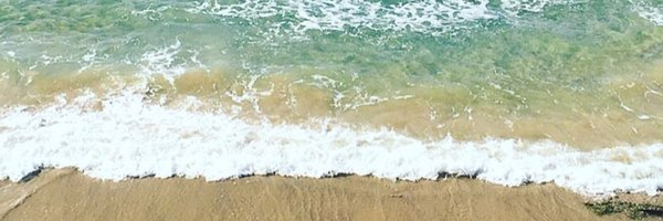 SarahFantl Profile Banner
