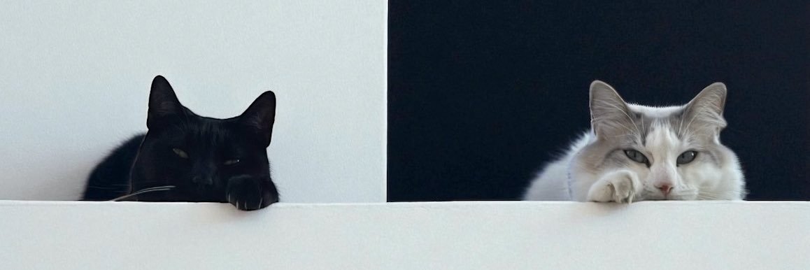 MikeCastro05's profile banner image