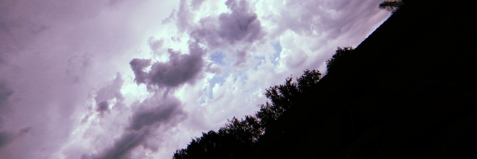 teehsus's profile banner image