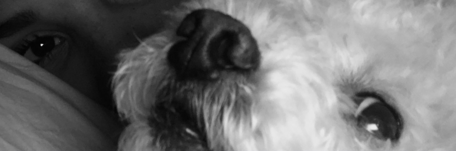 isacarvalhost's profile banner image